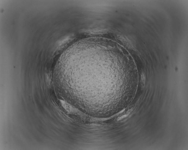 X0000067871300200604271725