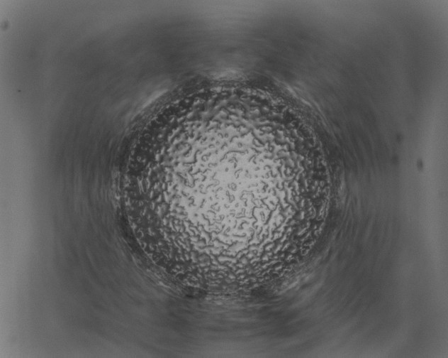 X0000067871301200604271725