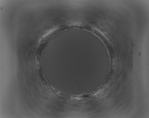 X0000067871303200604271725