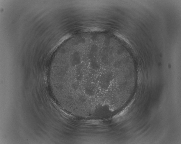 X0000067871305200604271725