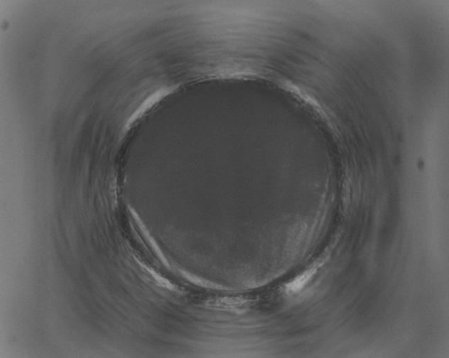 X0000067871306200604271725