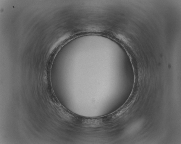 X0000067871307200604271725