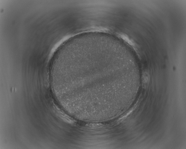 X0000067871310200604271725