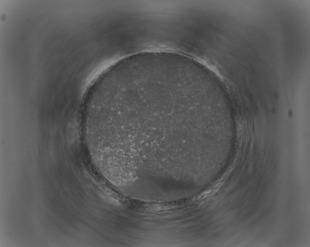 X0000067871311200604271725