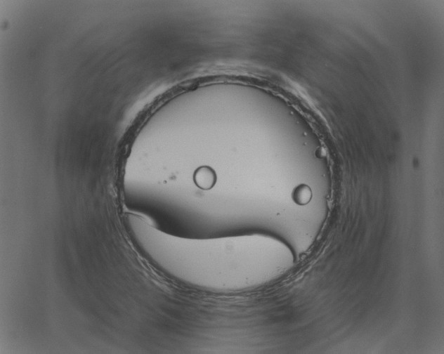 X0000067871312200604271725