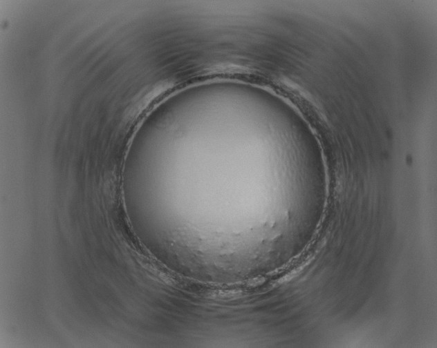 X0000067871313200604271725