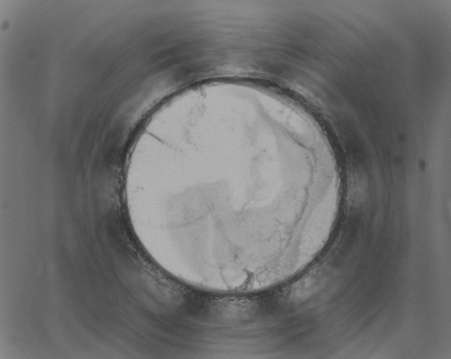 X0000067871314200604271725