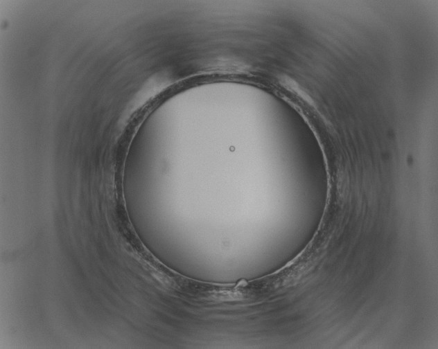 X0000067871315200604271725