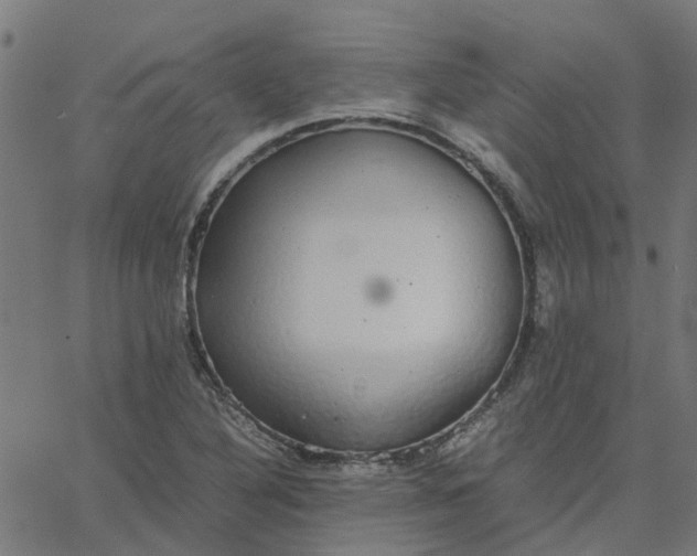 X0000067871316200604271726