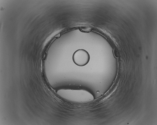 X0000067871317200604271726