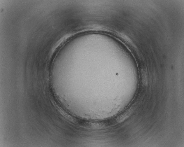 X0000067871318200604271726