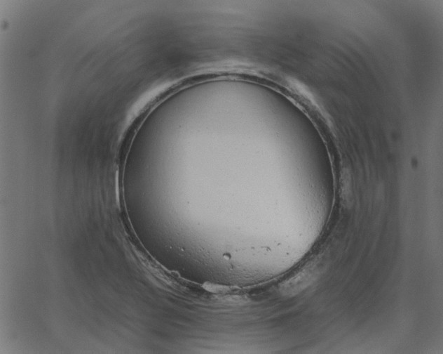 X0000067871320200604271726