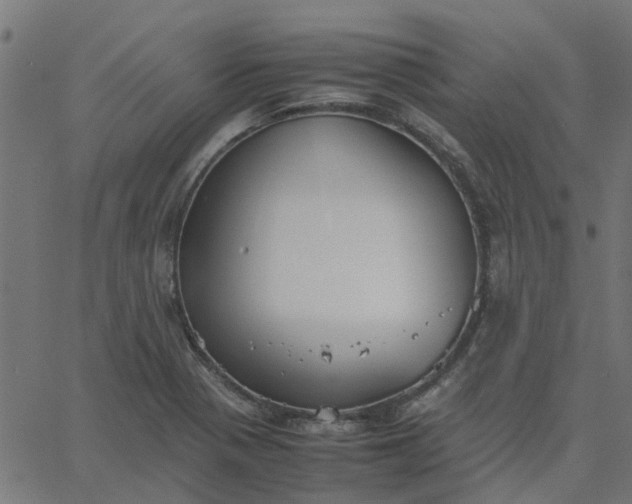 X0000067871321200604271726