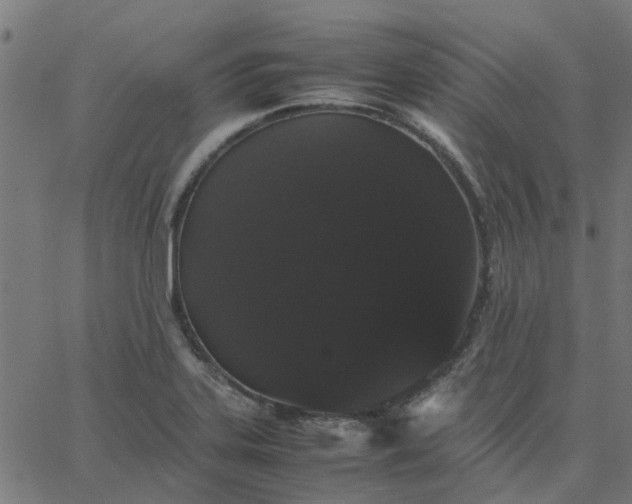 X0000067871323200604271726