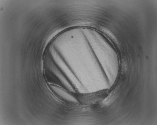 X0000067871324200604271726