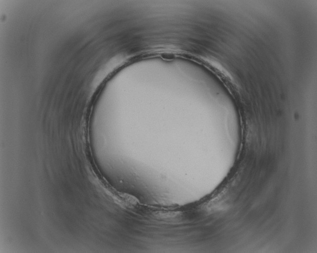 X0000067871325200604271726