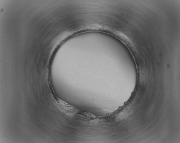 X0000067871326200604271726