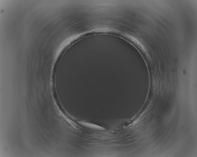 X0000067871327200604271726