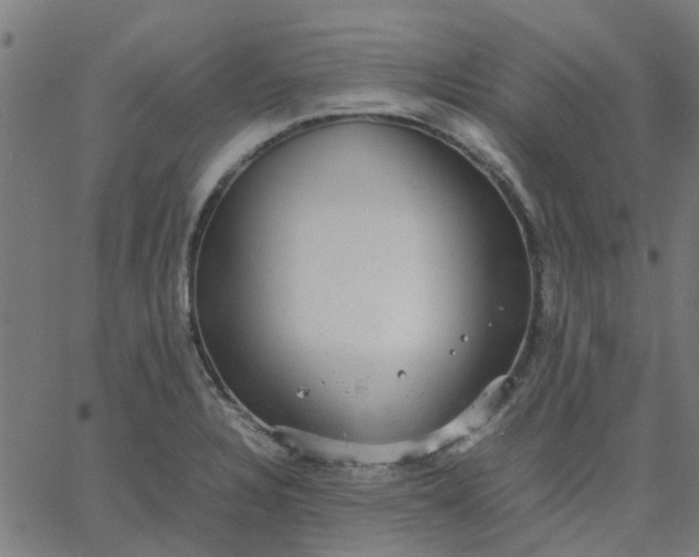 X0000067871328200604271726