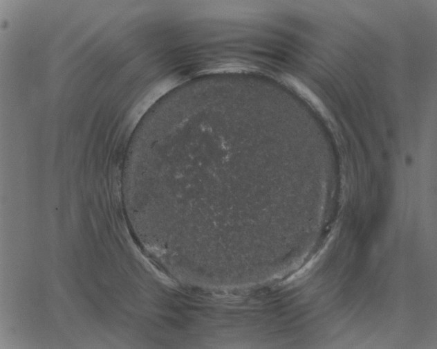 X0000067871329200604271726