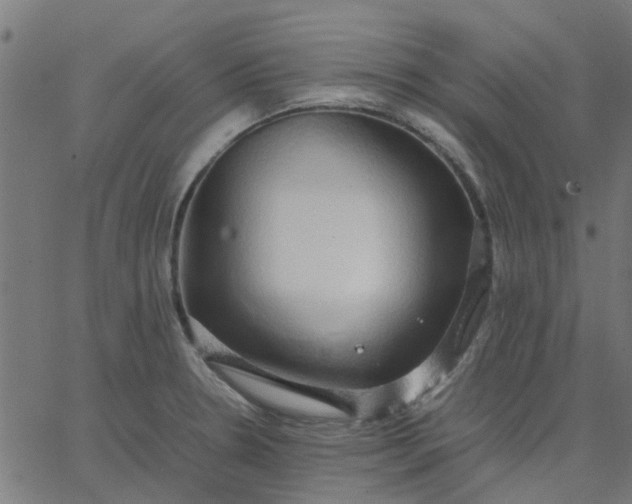 X0000067871330200604271726