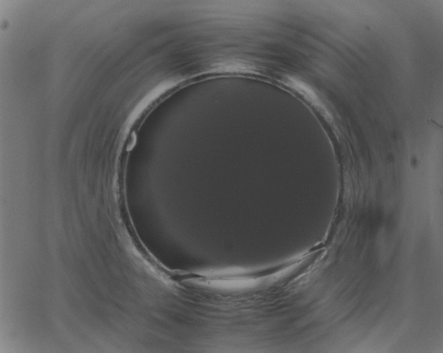 X0000067871331200604271726