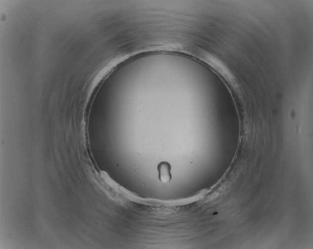 X0000067871332200604271726