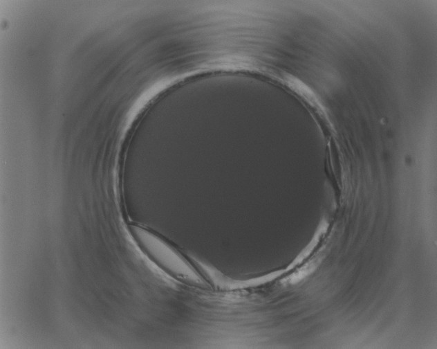 X0000067871334200604271726