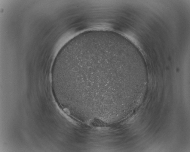 X0000067871335200604271726