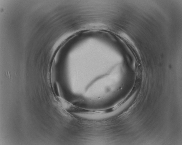 X0000067871336200604271726