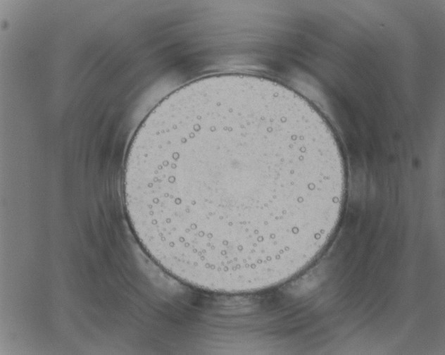 X0000067871338200604271726