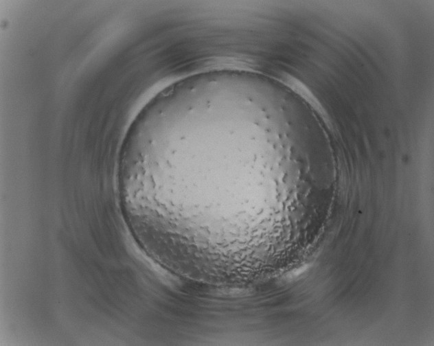 X0000067871339200604271726