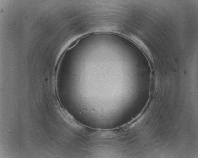 X0000067871340200604271726