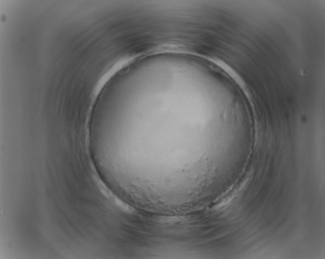 X0000067871341200604271726