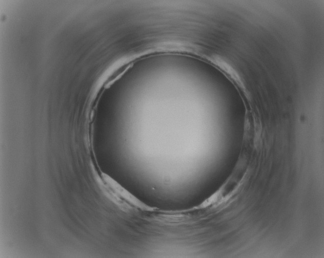 X0000067871342200604271726