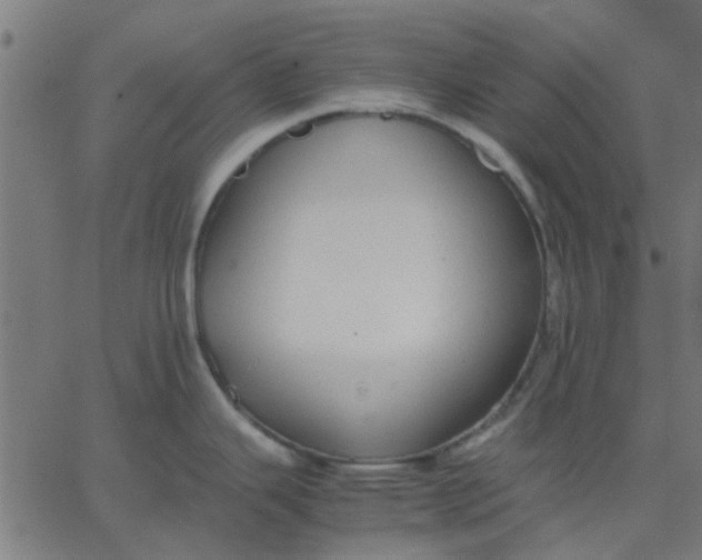 X0000067871343200604271726