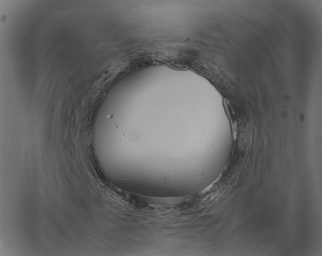 X0000067871345200604271725