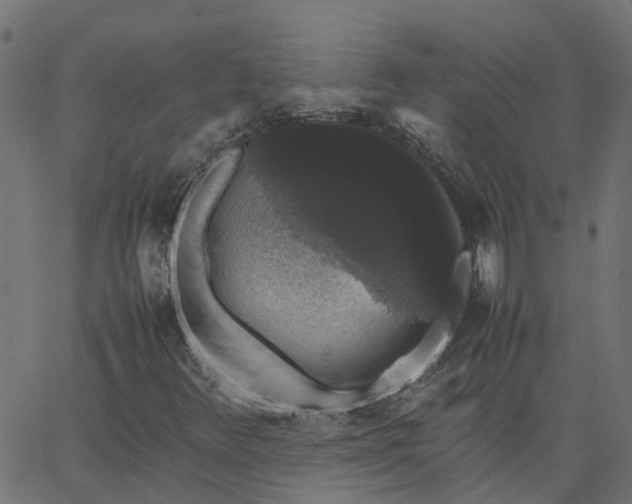 X0000067871348200604271725