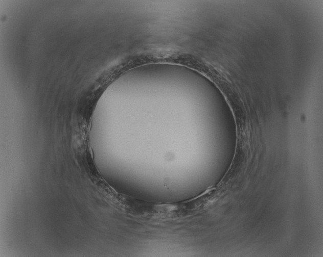 X0000067871349200604271725