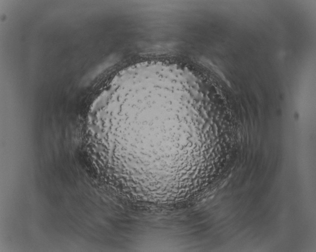 X0000067871350200604271725