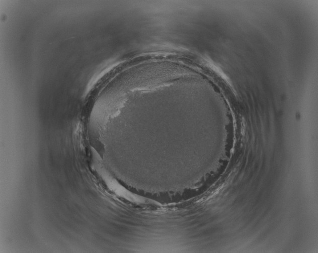 X0000067871352200604271725