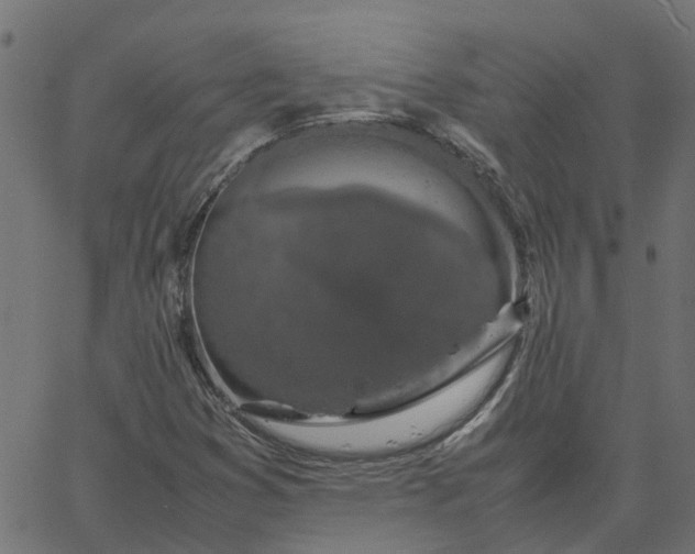 X0000067871353200604271725