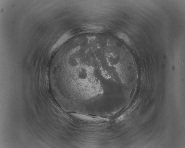 X0000067871354200604271725