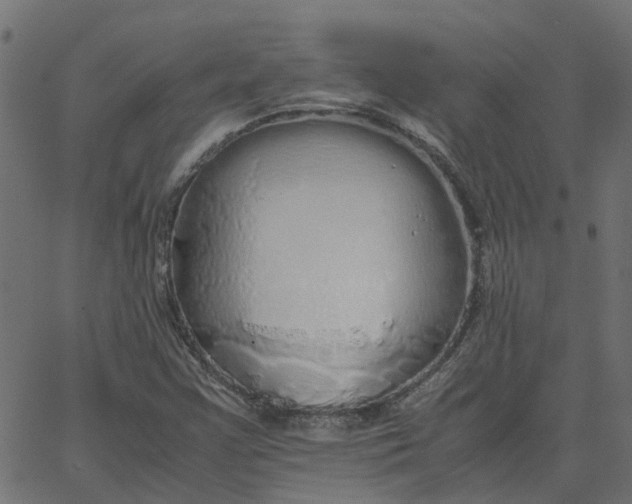 X0000067871355200604271725