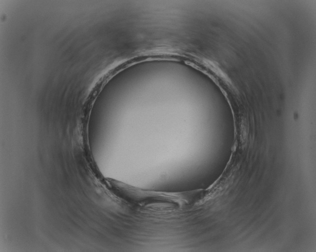 X0000067871356200604271725