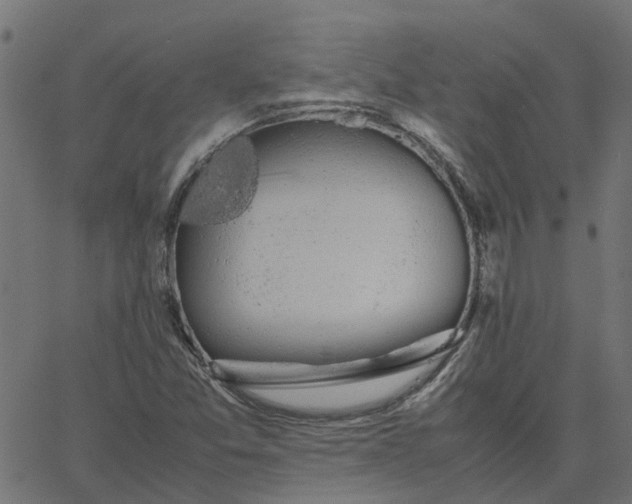 X0000067871357200604271725