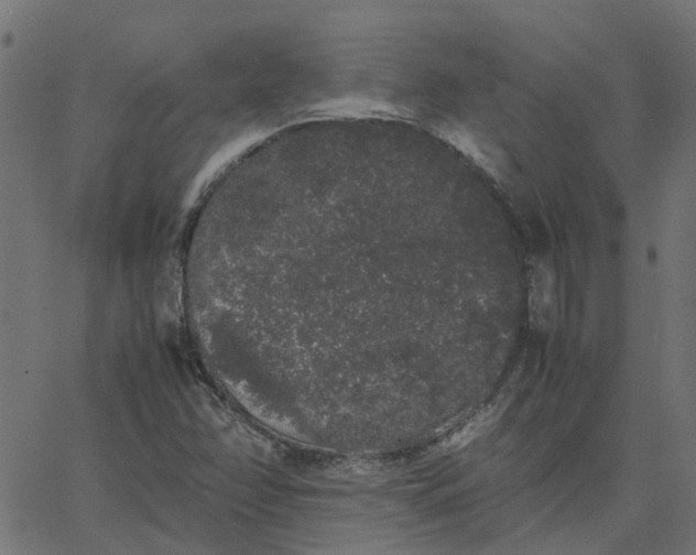 X0000067871358200604271725