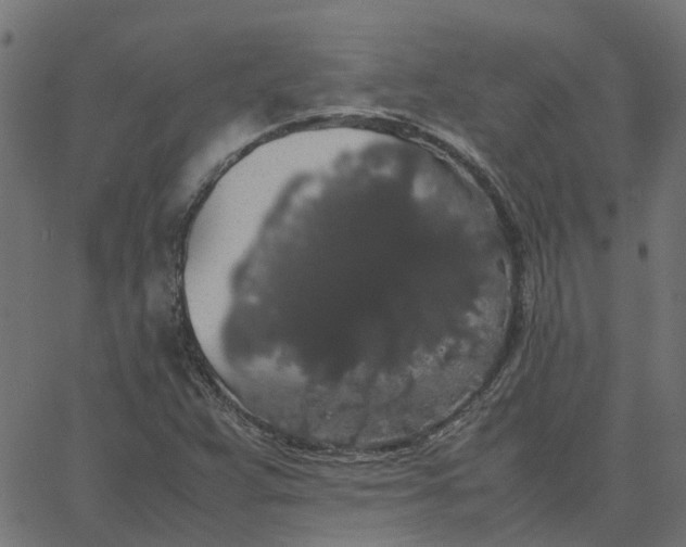 X0000067871359200604271725