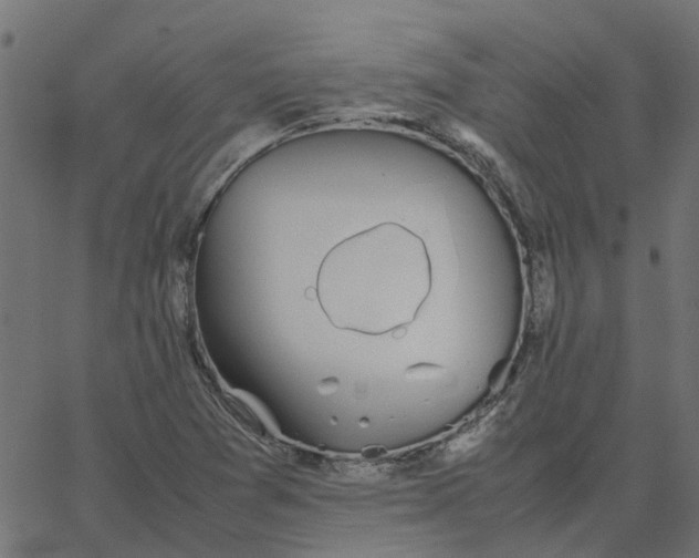 X0000067871361200604271725