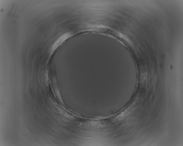 X0000067871362200604271725